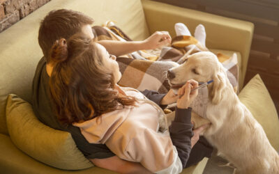 Accogliere un cane: guida ai preparativi